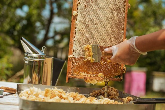 Полезные продукты пчеловодства