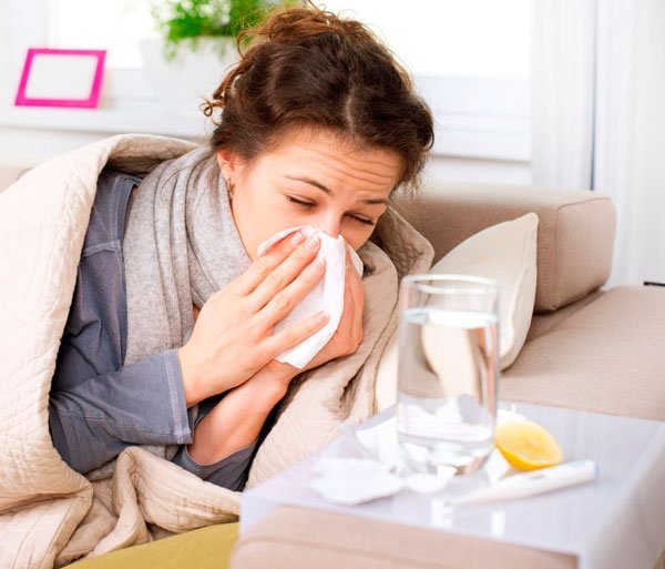 Травяные сборы при простуде и гриппе