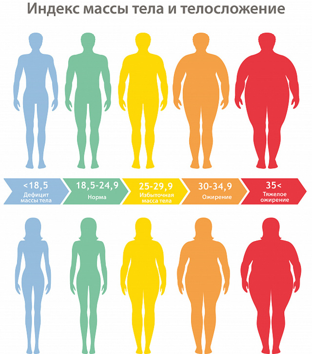 Лечебное питание при ожирении: особенности меню