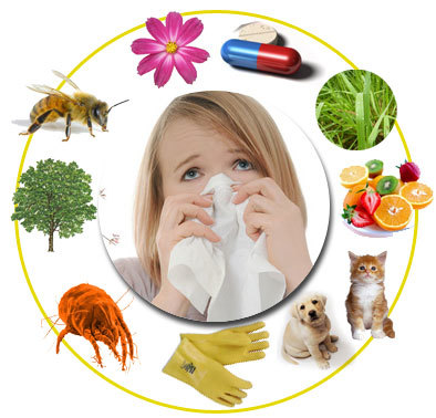 Аллергия и основные виды аллергенов