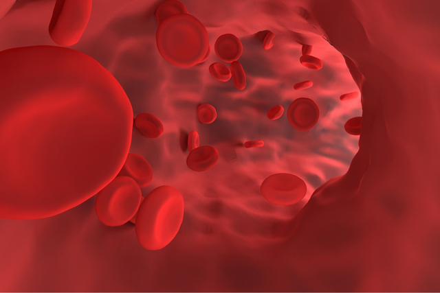 Гемоглобин. Его значение и роль в организме человека