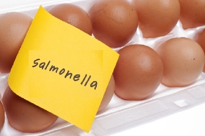Лечение и профилактика сальмонеллеза