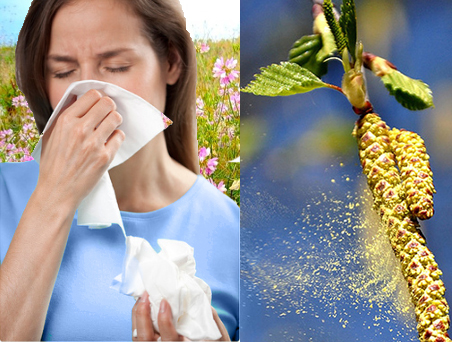 Сезонная бронхиальная астма