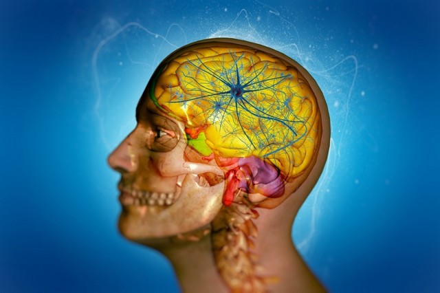 10 причин мигрени: факторы, провоцирующие приступы